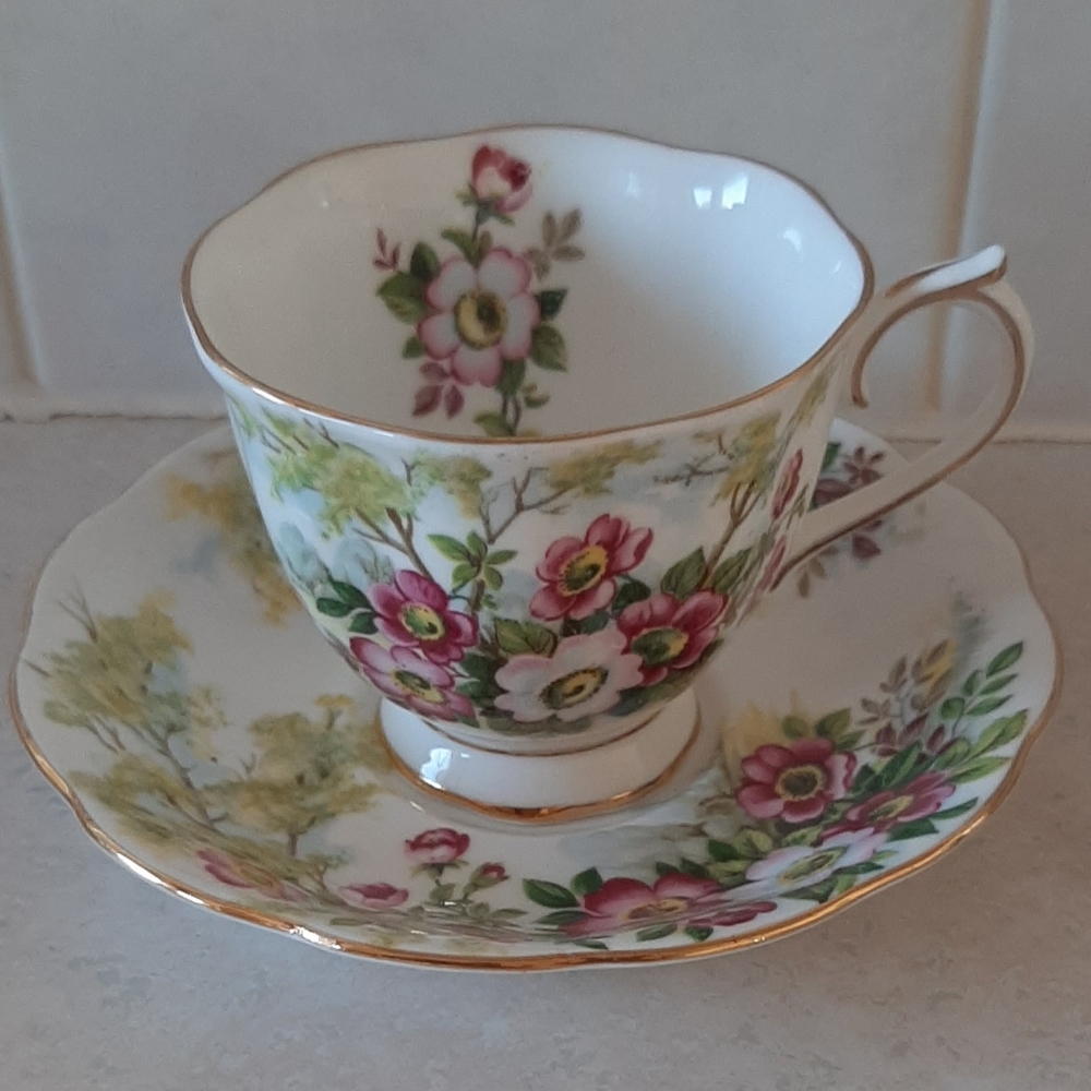 Vintage Tea Cup & Saucer Set